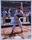 TED WILLIAMS SIGNED AUTOGRAPH BOSTON RED SOX 16X20 PSA/DNA LOA