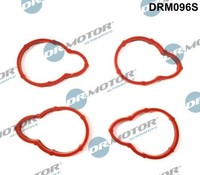Dr.Motor Automotive DRM096S Dichtungssatz AnsaugkrüMmer FüR Dacia, Renault