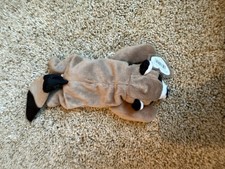 TY Beanie Baby - RINGO the Raccoon 8 inch - NWT Stuffed Animal Plush Toy