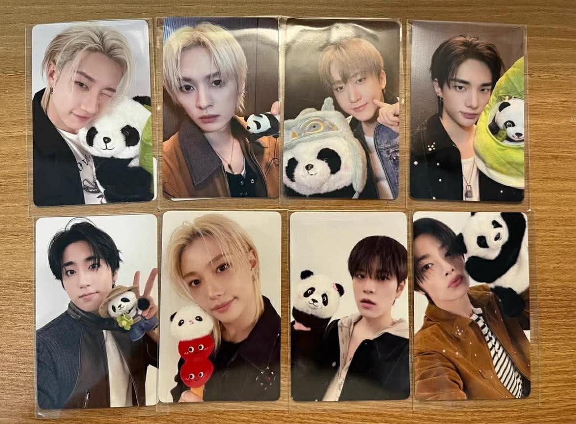 STRAY KIDS OFFICIAL KARMA ALBUM KMS KMSTATION SHENZHEN PANDA POB