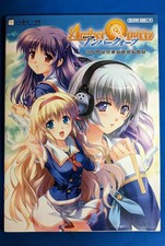 Amber Quartz Visual Fan Book, Used, Art  Photography Book GGB