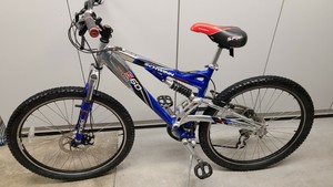 schwinn s60