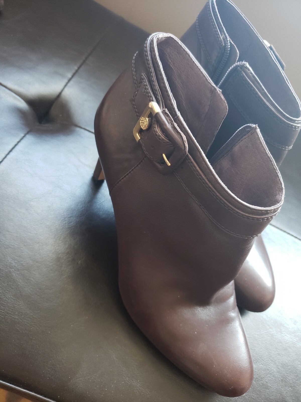 vince camuto vonilesa