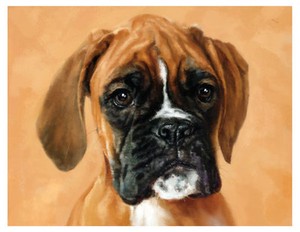 artav Boxer 11 Dog Pet Dog Pet Art Print on Watercolor Paper