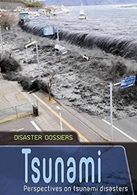 Tsunami : Perspectives on Tsunami Disasters Hardcover Ian Graham