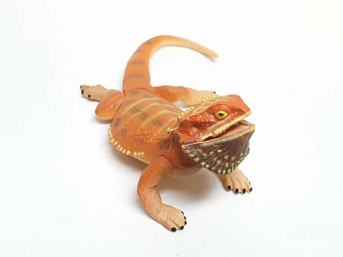 Orange lizard cheap pet