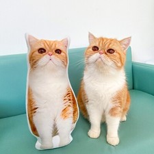 Custom Cat Pillow,Personalized Dog Cushion, Pet Plush Toy,Custom Birthday Gift