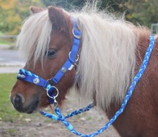 MINISHETTY Trense REITHALFTER ZÜGEL Mini  Shetland Pony Sidepull gebisslos