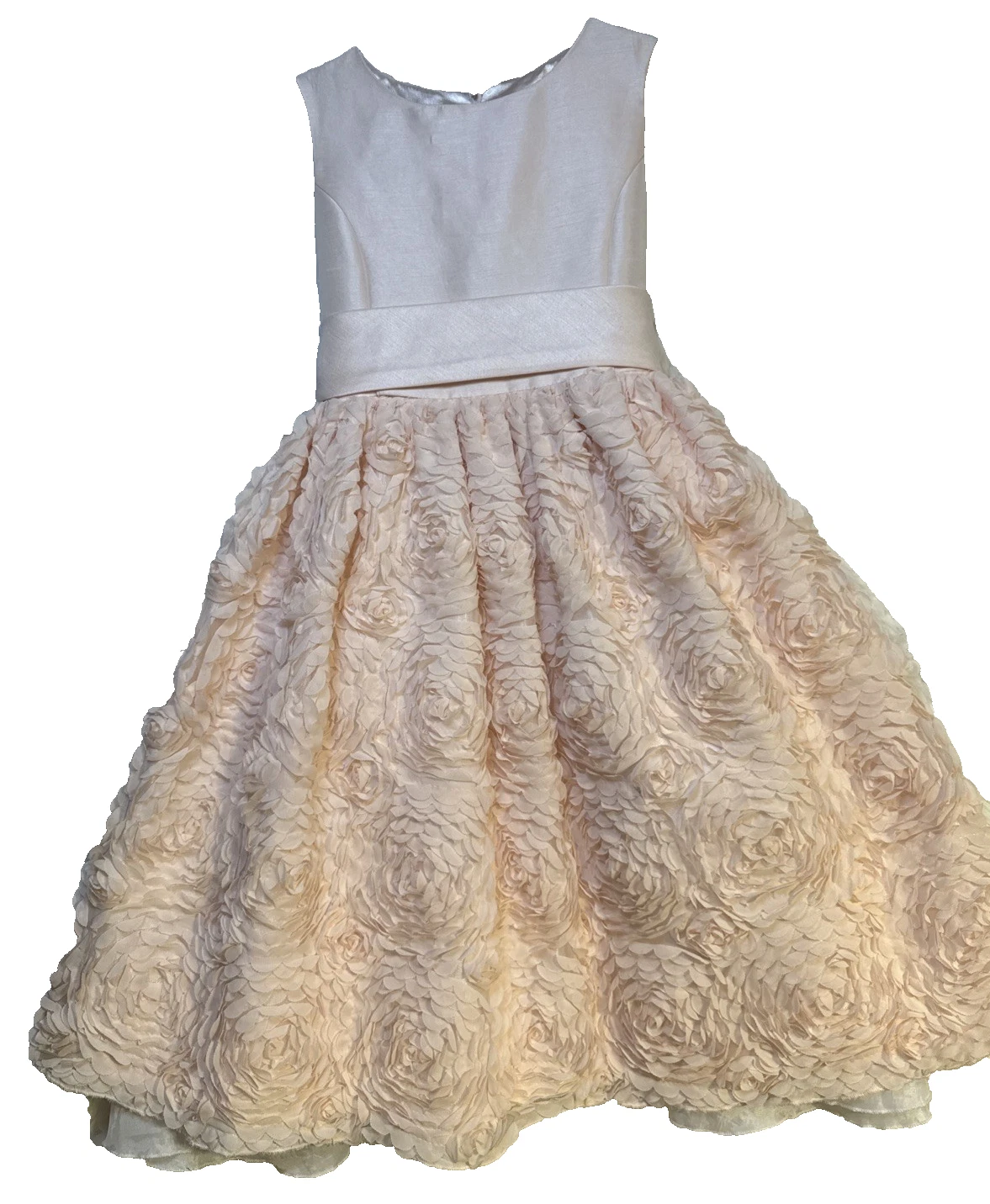 American Princess Girls Floral Flower Rose Dress Pink Size 7 Special Occasion
Opens in a new window