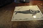 Picture 2 of 9
