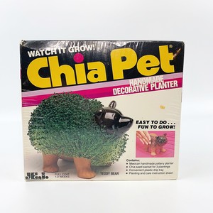 care bear chia pet