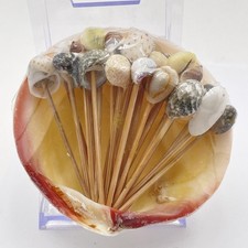 Sea Shell Wood Picks Set In Shell Holder Nautical Multicolor Decor Toothpicks
