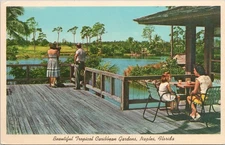 POSTCARD-BEAUTIFUL TROPICAL CARIBBEAN, NAPLES FLORIDA