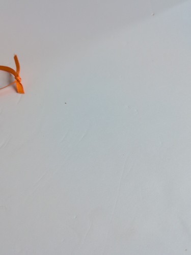 Plastic Hummingbird Sun Catcher - Picture 5 of 8