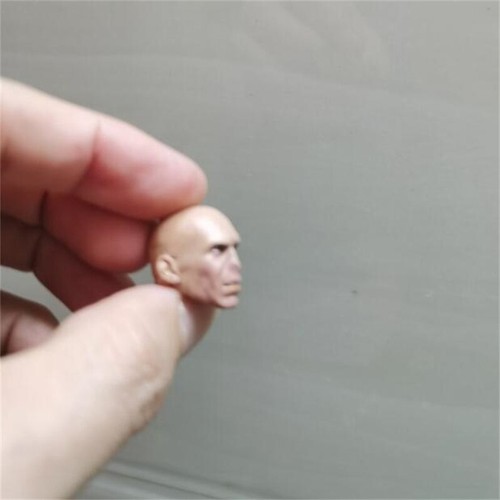 Painted 1/12 Scale The Villain Lord Voldemort Head Sculpt Fit 6" SHF Figure - Picture 2 of 3