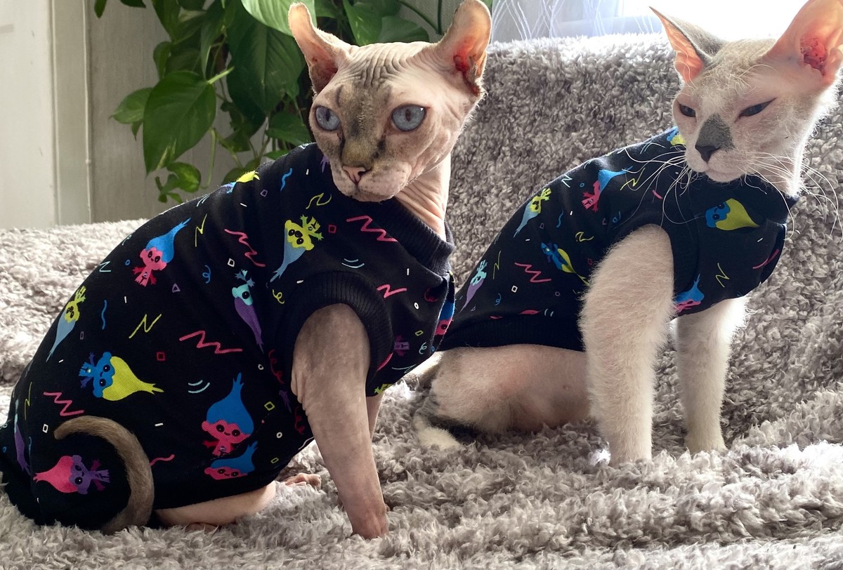 Sphynx cat clothes, sphynx clothing, cat clothes,hairless cat - Main Image