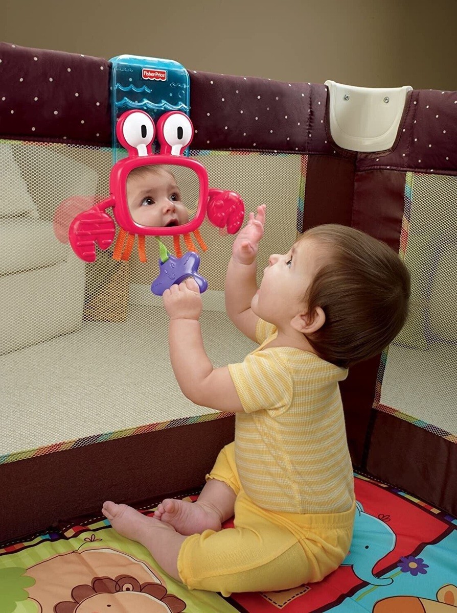 Fisher-Price Discover & Grow Peek-a-boo Playard Crab