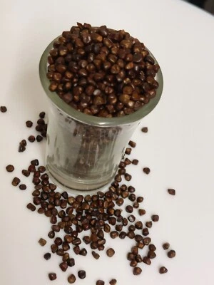 Organic Black Cardamom seeds (Korerima) 100g - Image 1 of 4