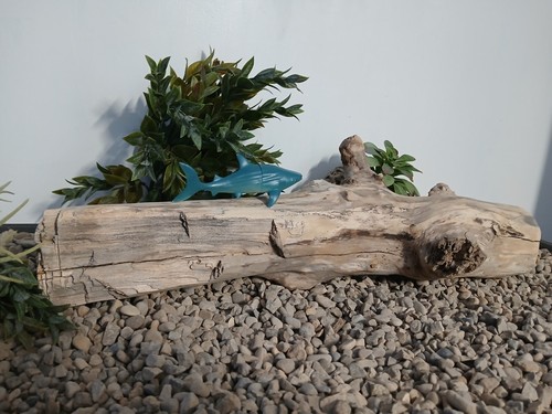 driftwood aquarium fish & reptiles 6x20" natural basking log decor - Picture 2 of 7