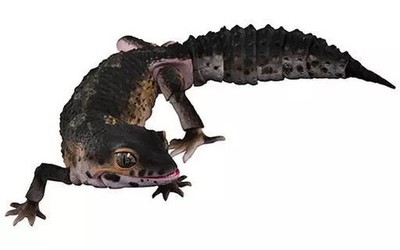 Creature Encyclopedia Advance Gashapon Leopard Gecko Black Knight Spielzeug
