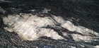Foto 7 di 8