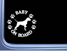 Baby on Board English Pointer L534 6" pegatina calcomanía perro