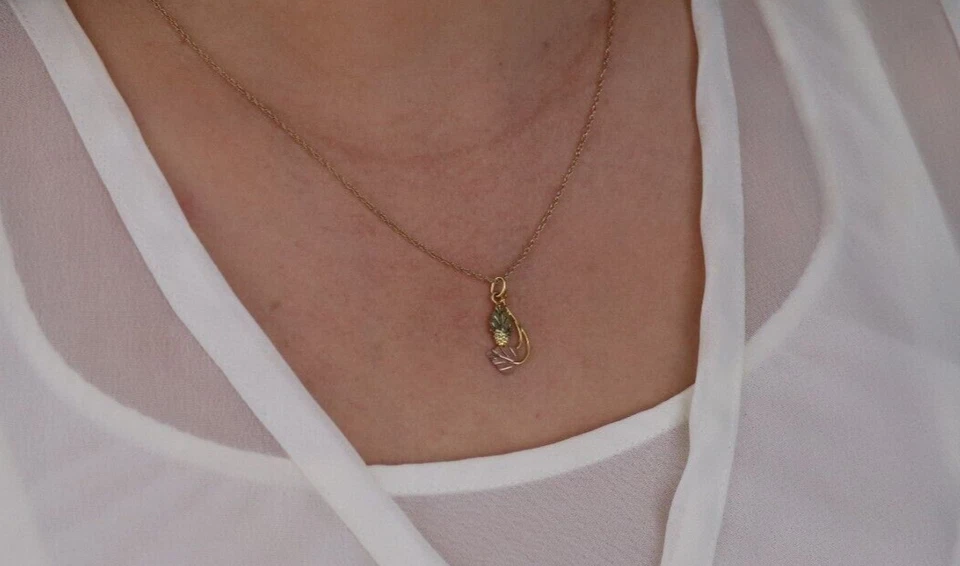 Colgante de oro amarillo de 12k Black Hills con cadena de oro amarillo de 10k de 18" pulgadas Foto 3 de 4