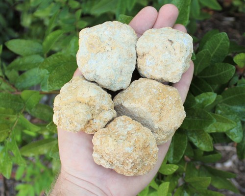 Break Your Own Geodes: Wholesale Lots by lb - Large Unopened Moroccan Crystals - Picture 9 of 12