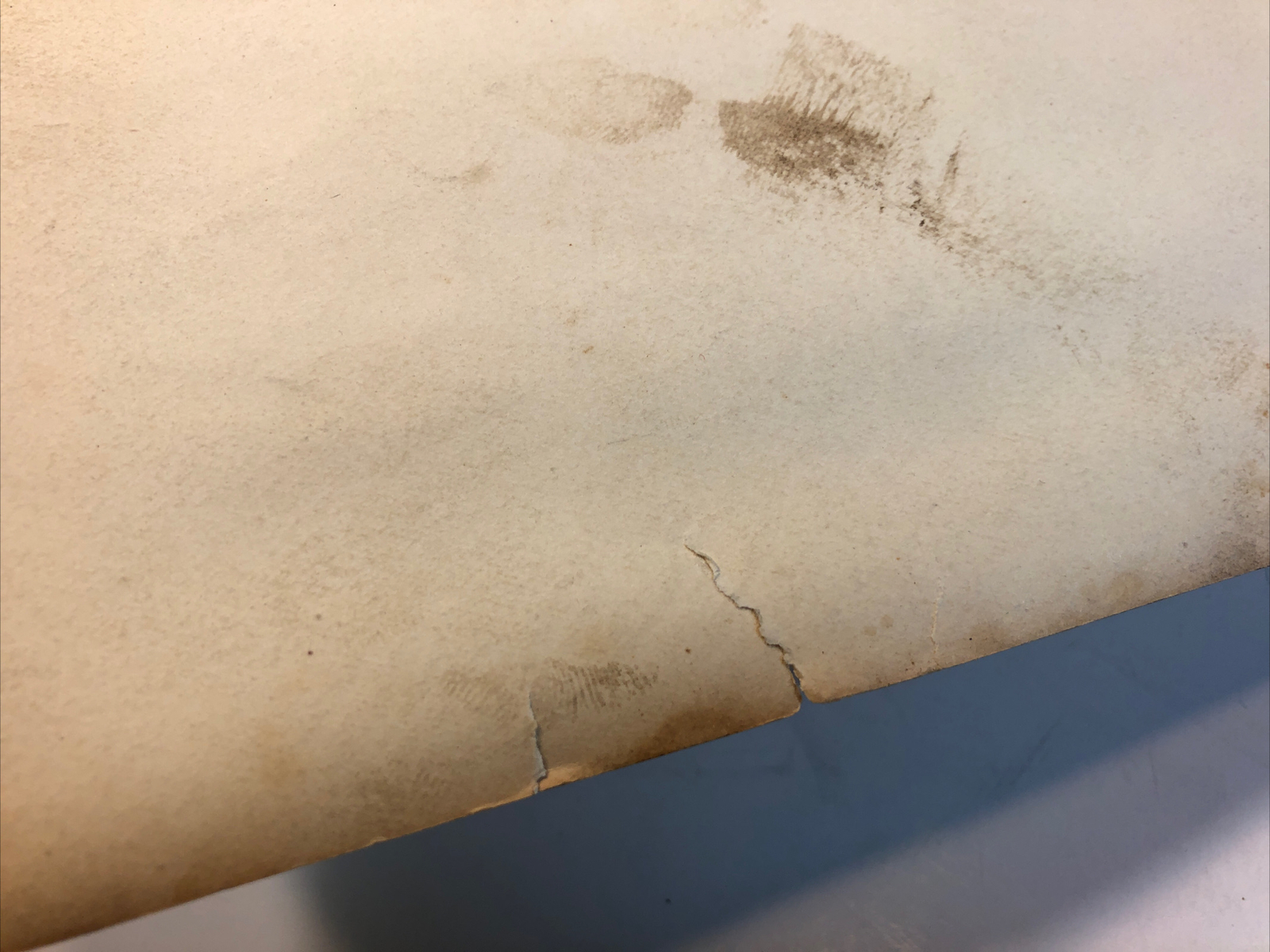 1920s A.F. WALKER Display Window Sunkist Orange Poultry Photo ROCHESTER NY 8x10