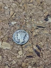 1923 Mercury 90% Silver Dime 10 Cents