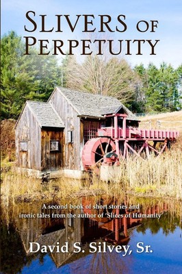 Slivers of Perpertuity Sr. David S. Silvey Taschenbuch Kartoniert / Broschiert