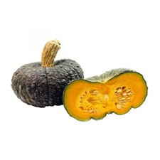 10 Semi di Zucca Mantovana