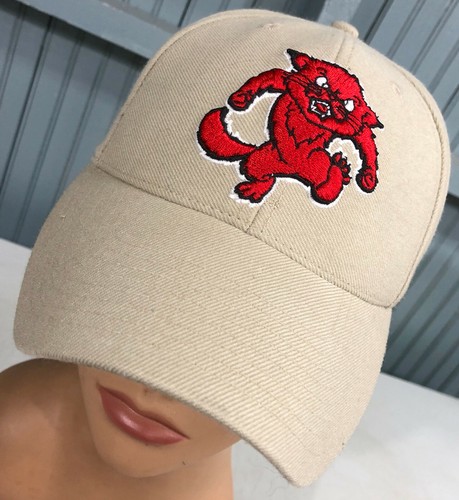 Cincinnati Bearcats NCAA LIDS Fitted 7 