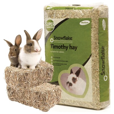 Timothy Hay Naturfaser Grasstaub abgesaugt für Kaninchen & Meerschweinchen