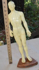 Acupuncture Model 20 inches Human Acupoint Silicone Doll
