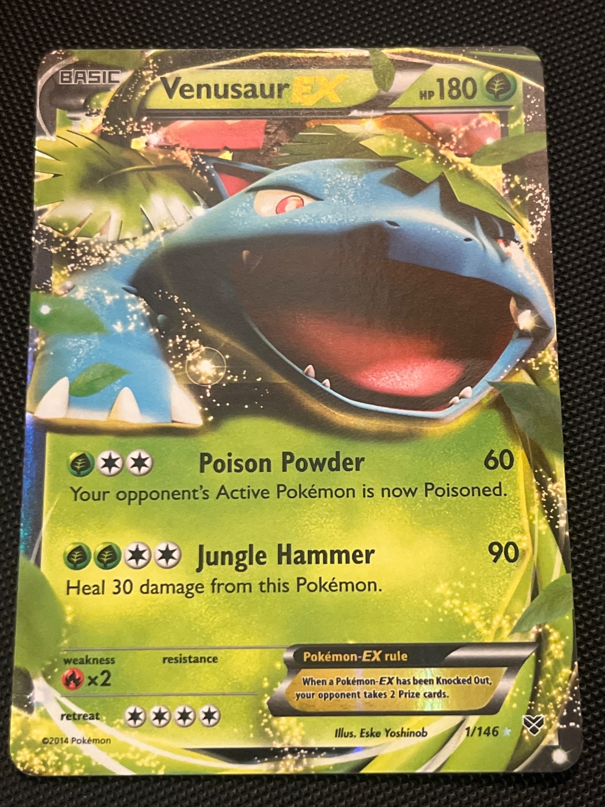 Venusaur EX 1/146 Holo Ultra Rare XY Base Set Pokemon LP
