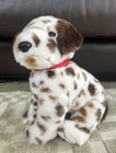 Vintage Ty Beanie Buddy Bo the Dalmatian 2003 9” Brown Spots Black Eyes