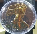 2019 American Silver Eagle 1oz Silver Coin with 24K Gold  Gilded Proof Incased