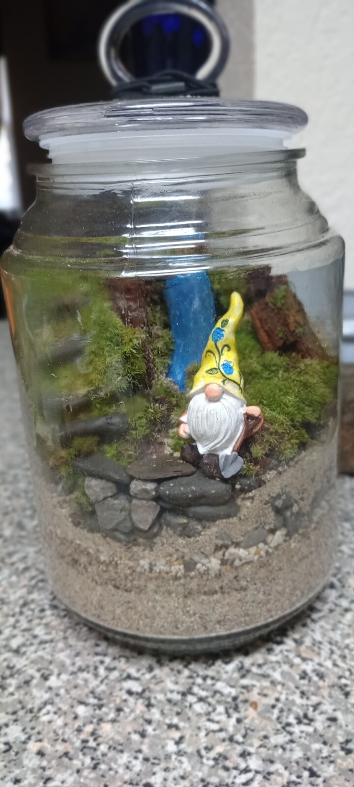 terrariums,home made, live plants, all sizes eBay