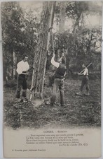 CPA 40 - Landes - Résiniers - F. Bernède, phot., Arjuzanx 