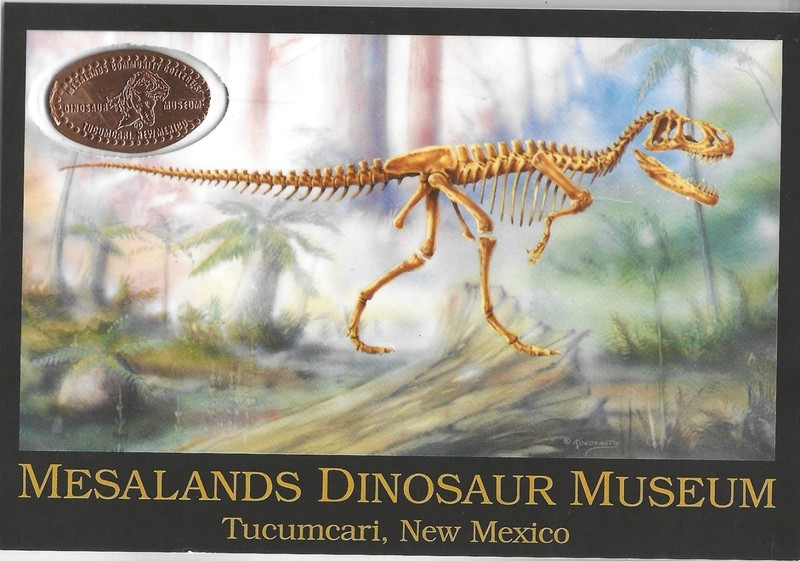 Laminated Card featuring Elongated Penny MESALANDS DINOSAUR MUSEUM Tucumcari NM