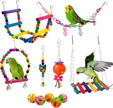 Parakeet Cage Accessories: 11pcs Bird Toy Swing Set for - Colorful