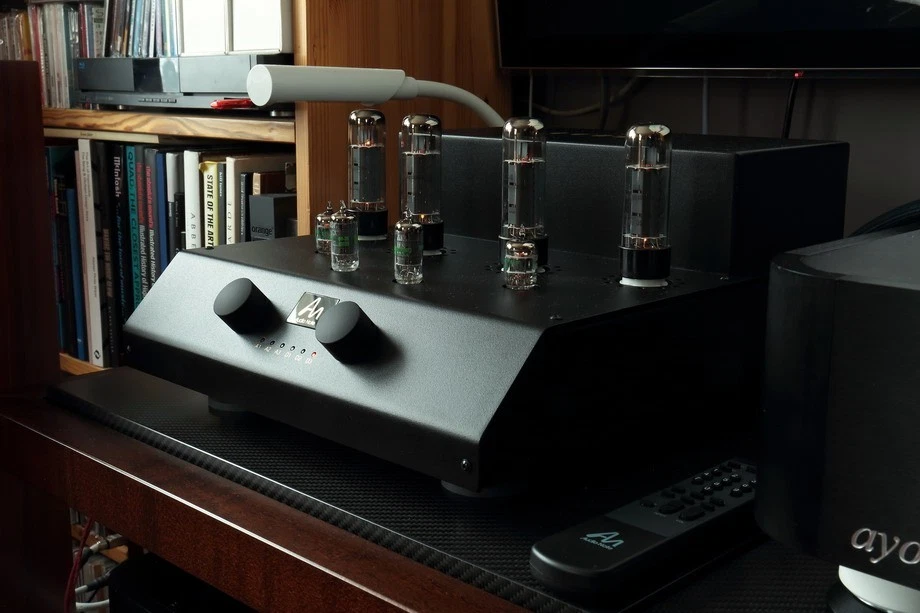 Audio Note Cobra Integrated Amplifier