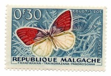  on The Hot Collector