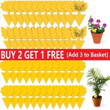 Sticky Fruit Fly Trap Fungus Gnat Killer Trap Protect Kitchen Indoor Outdoor UK