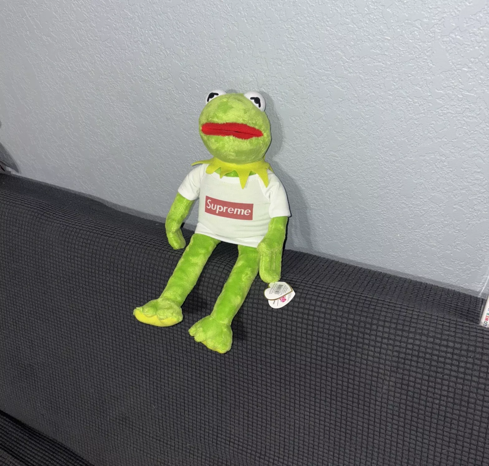 bonnet kermit the frog supreme ty babies 2016 NEUF ! RARE !