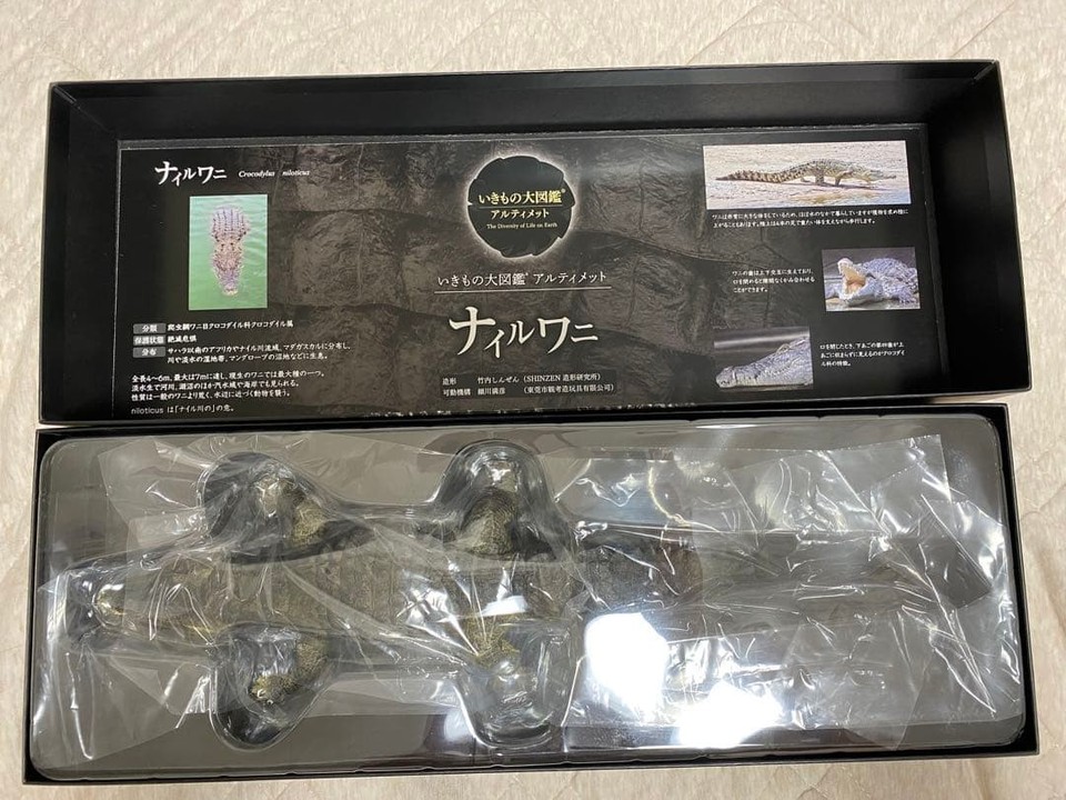 the-diversity-of-life-on-earth-ultimate-nile-crocodile-ebay-australia