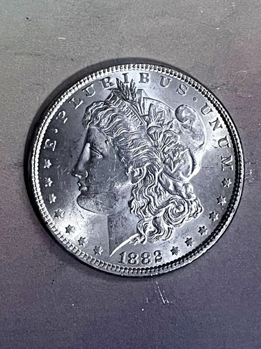 1882 P Morgan $  CH BU +  BEAUTIFUL LUSTER (br) clearance start $.99