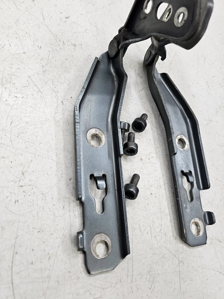 Juego de 2 bisagras capó Audi A6 sedán azul Lt OE 2006 2007 2008 2009 2010 2011 3728 Foto 4 de 4