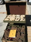 Antique World War Two WW2 Military Airbase Aircraft Portable Field Lighting Set